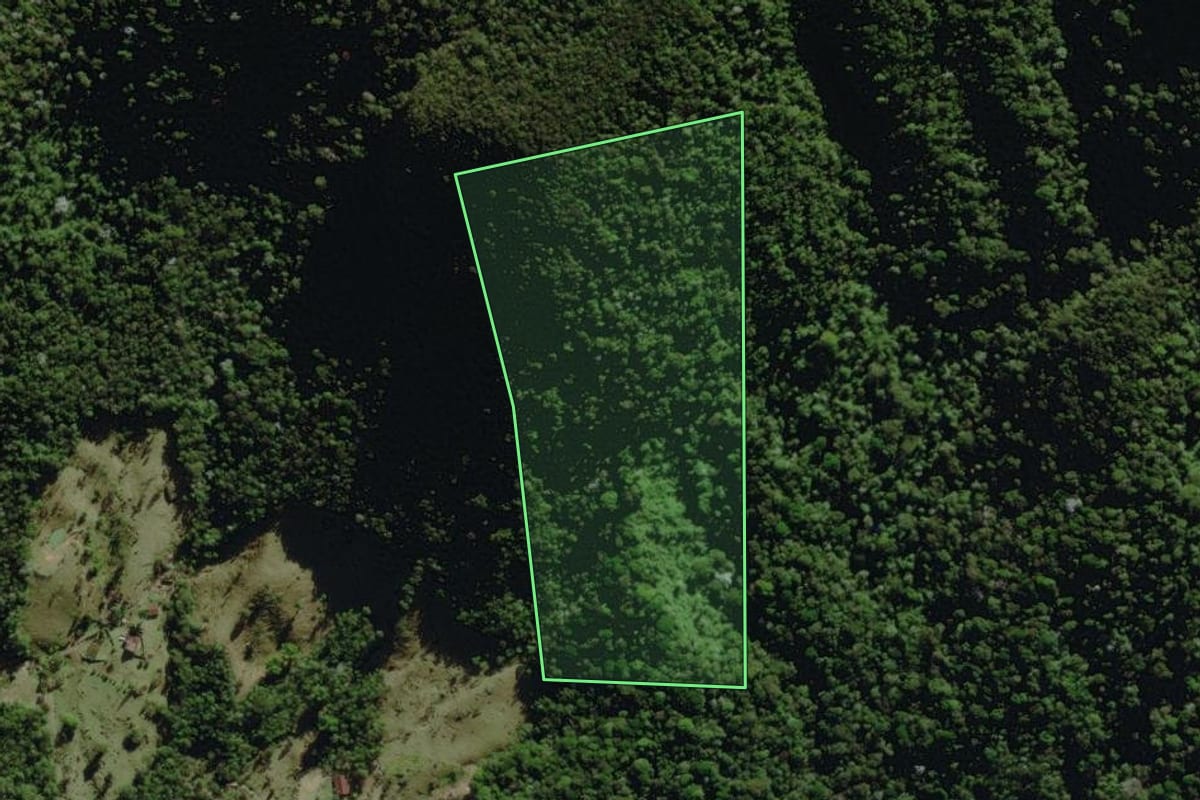 Imagem de satélite do imóvel rural em Nova Friburgo (RJ), com o contorno declarado no CAR desenhado por cima.