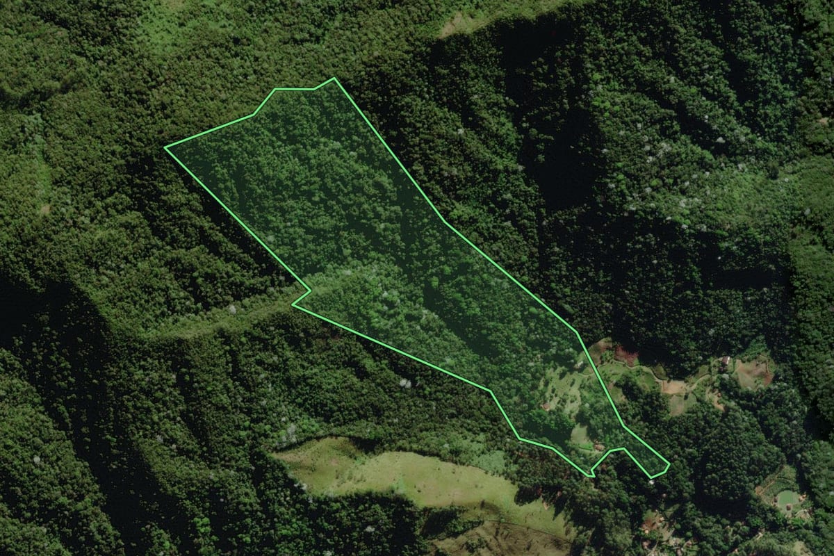 Imagem de satélite do imóvel rural em Nova Friburgo (RJ), com o contorno declarado no CAR desenhado por cima.