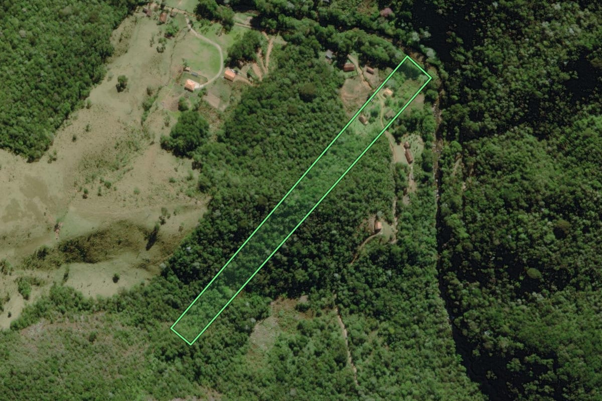 Imagem de satélite do imóvel rural em Nova Friburgo (RJ), com o contorno declarado no CAR desenhado por cima.