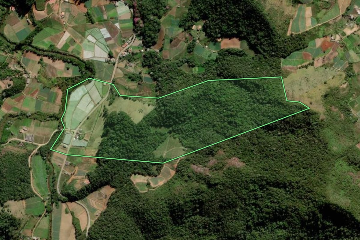Imagem de satélite do imóvel rural em Nova Friburgo (RJ), com o contorno declarado no CAR desenhado por cima.