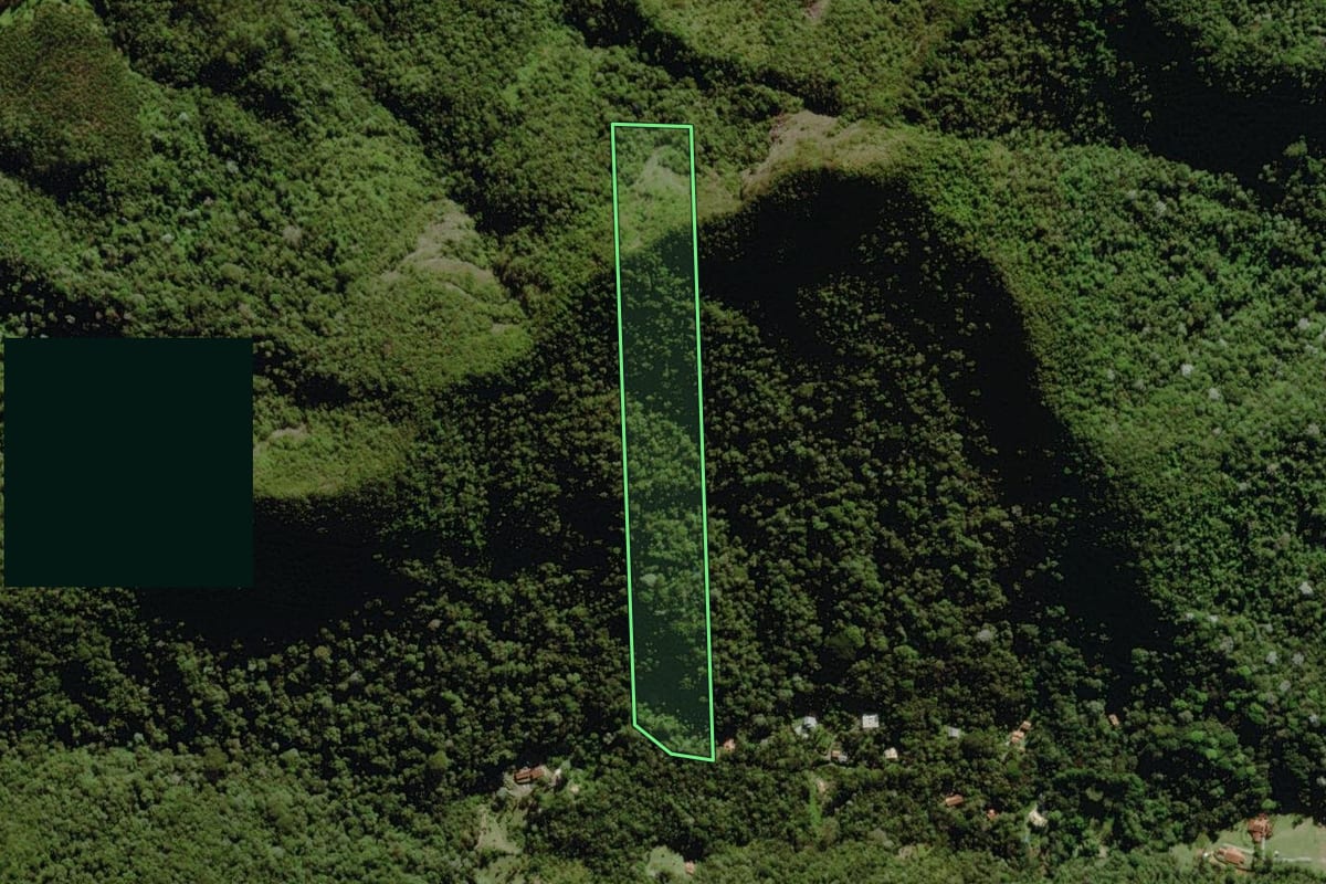 Imagem de satélite do imóvel rural em Nova Friburgo (RJ), com o contorno declarado no CAR desenhado por cima.