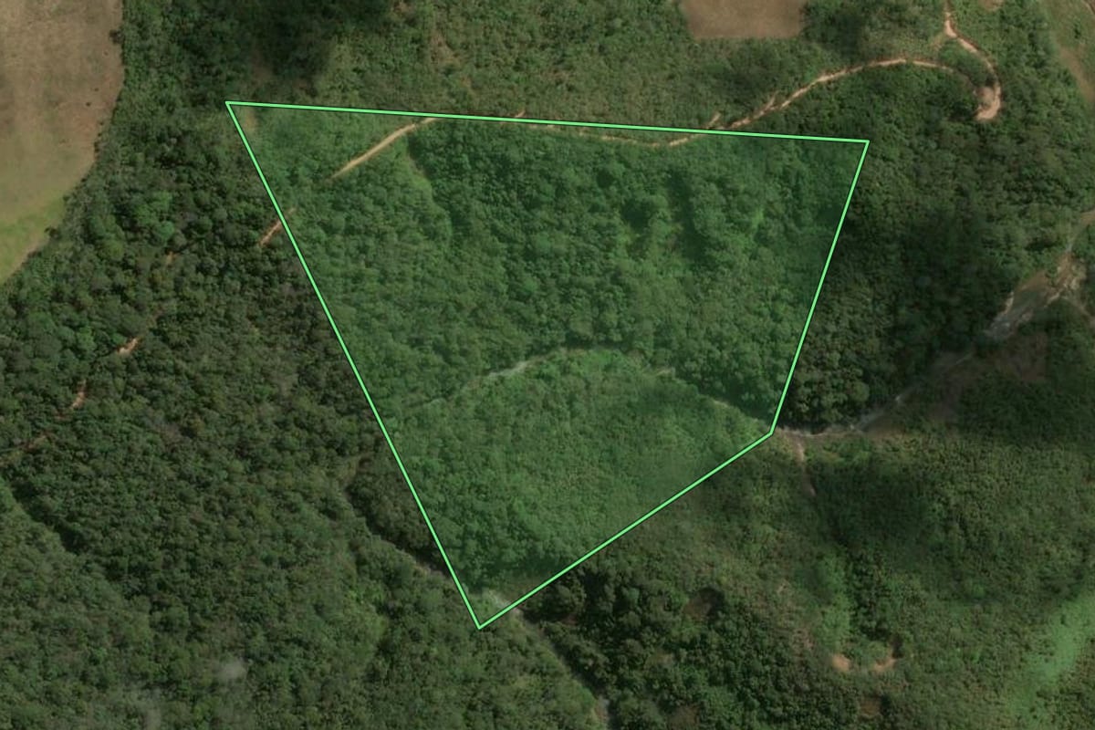 Imagem de satélite do imóvel rural em Nova Friburgo (RJ), com o contorno declarado no CAR desenhado por cima.