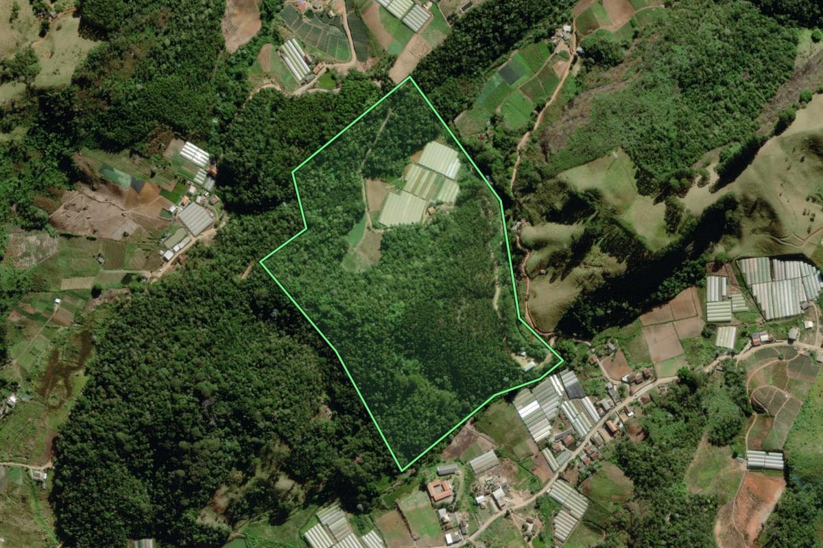 Imagem de satélite do imóvel rural em Nova Friburgo (RJ), com o contorno declarado no CAR desenhado por cima.