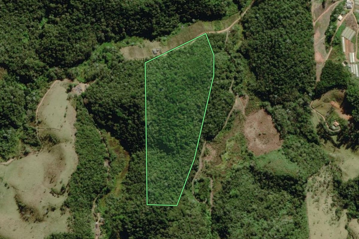 Imagem de satélite do imóvel rural em Nova Friburgo (RJ), com o contorno declarado no CAR desenhado por cima.