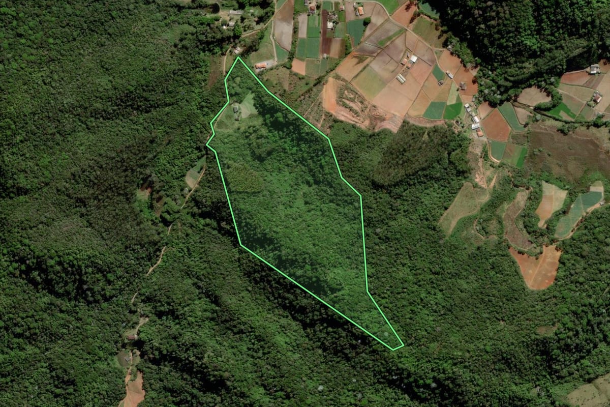 Imagem de satélite do imóvel rural em Nova Friburgo (RJ), com o contorno declarado no CAR desenhado por cima.