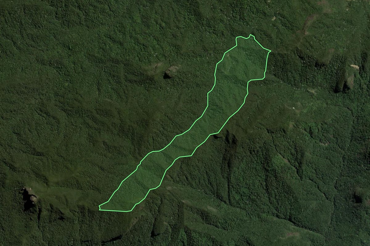 Imagem de satélite do imóvel rural em Nova Friburgo (RJ), com o contorno declarado no CAR desenhado por cima.