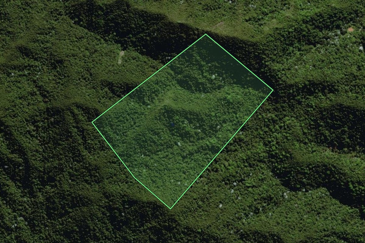Imagem de satélite do imóvel rural em Nova Friburgo (RJ), com o contorno declarado no CAR desenhado por cima.