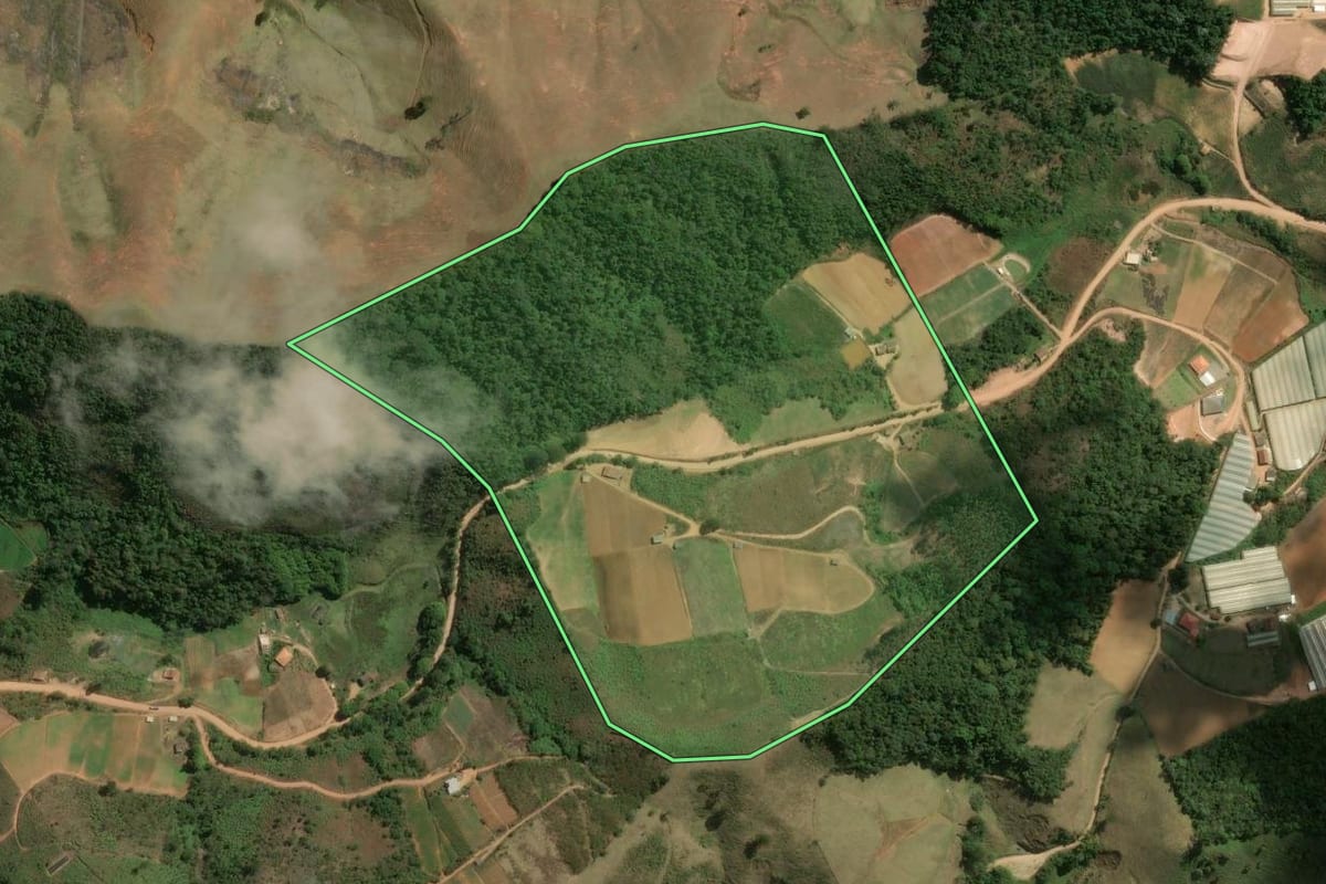 Imagem de satélite do imóvel rural em Nova Friburgo (RJ), com o contorno declarado no CAR desenhado por cima.