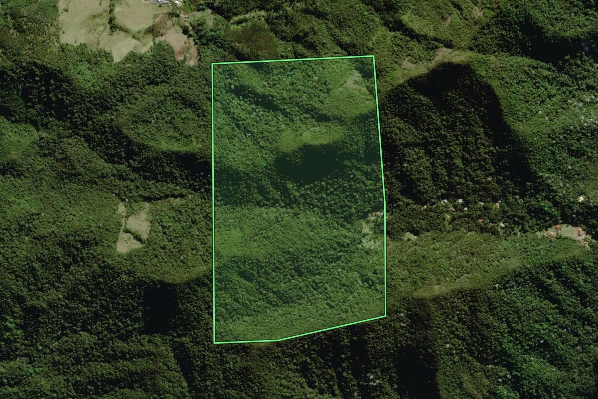 Imagem de satélite do imóvel rural em Nova Friburgo (RJ), com o contorno declarado no CAR desenhado por cima.
