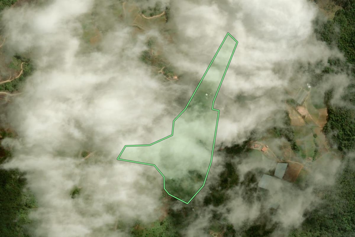 Imagem de satélite do imóvel rural em Nova Friburgo (RJ), com o contorno declarado no CAR desenhado por cima.