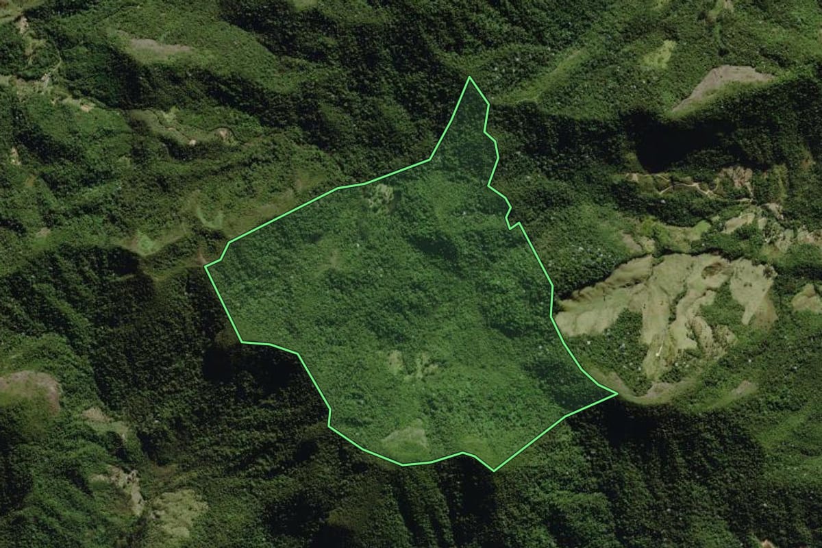 Imagem de satélite do imóvel rural em Nova Friburgo (RJ), com o contorno declarado no CAR desenhado por cima.