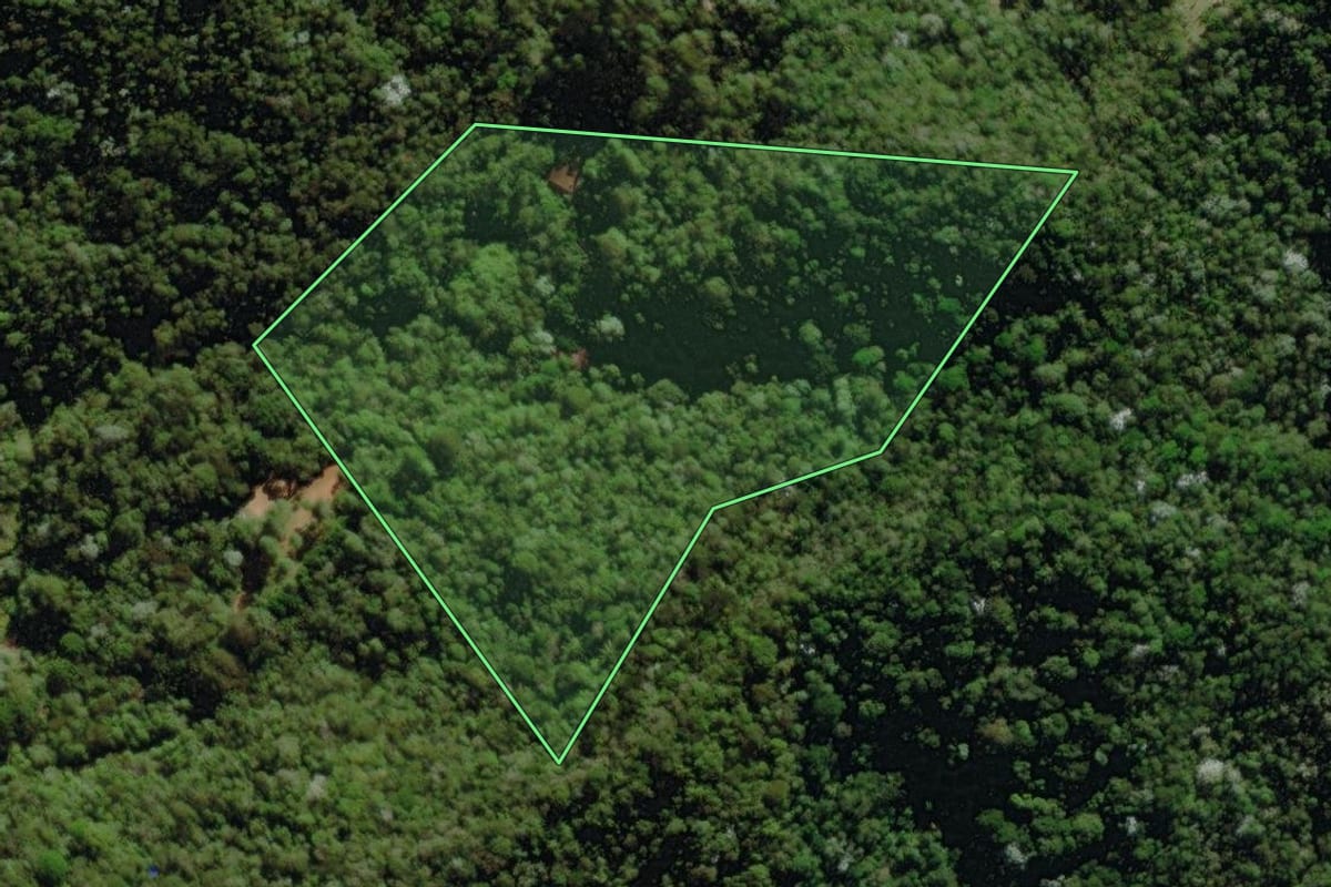 Imagem de satélite do imóvel rural em Nova Friburgo (RJ), com o contorno declarado no CAR desenhado por cima.