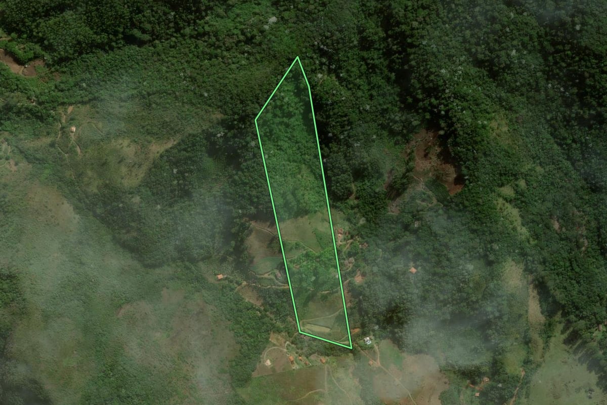 Imagem de satélite do imóvel rural em Nova Friburgo (RJ), com o contorno declarado no CAR desenhado por cima.