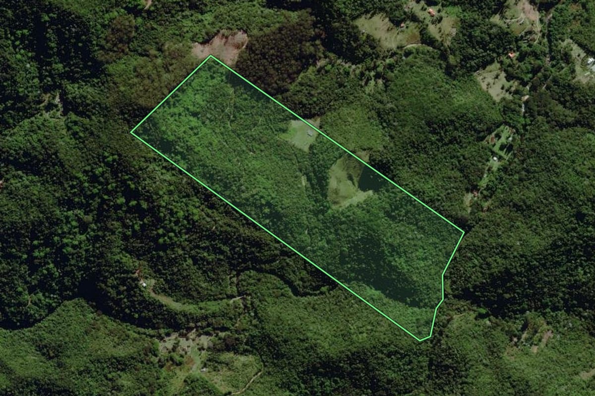 Imagem de satélite do imóvel rural em Nova Friburgo (RJ), com o contorno declarado no CAR desenhado por cima.