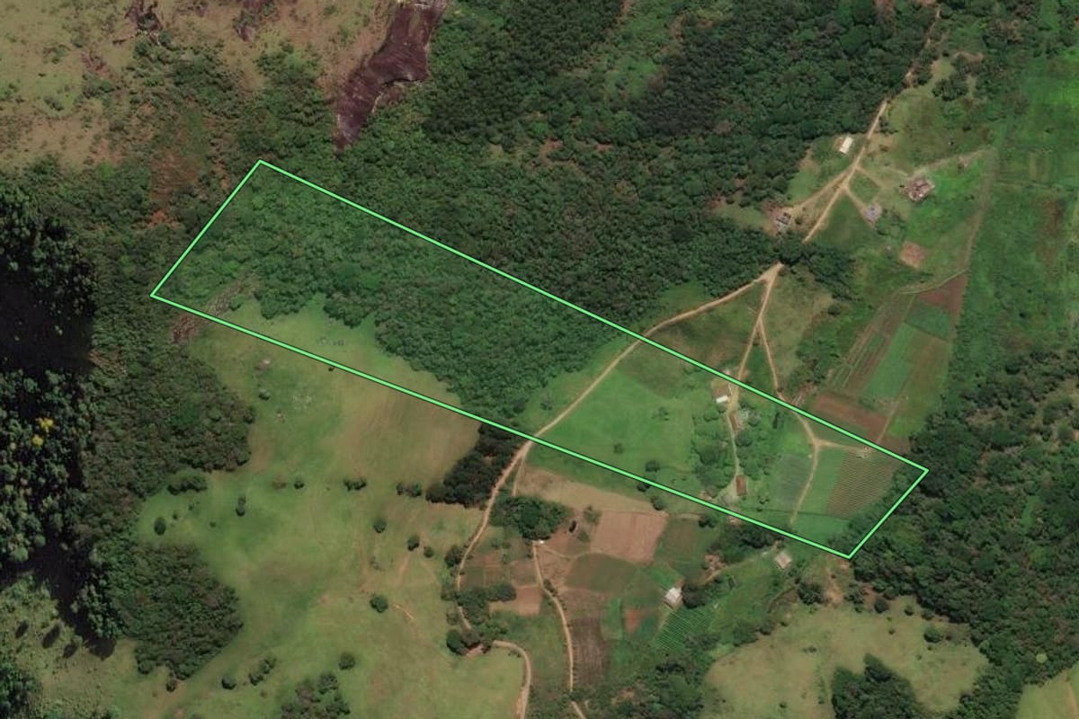 Imagem de satélite do imóvel rural em Nova Friburgo (RJ), com o contorno declarado no CAR desenhado por cima.