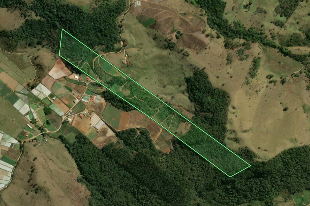 Imagem de satélite do imóvel rural em Nova Friburgo (RJ), com o contorno declarado no CAR desenhado por cima.