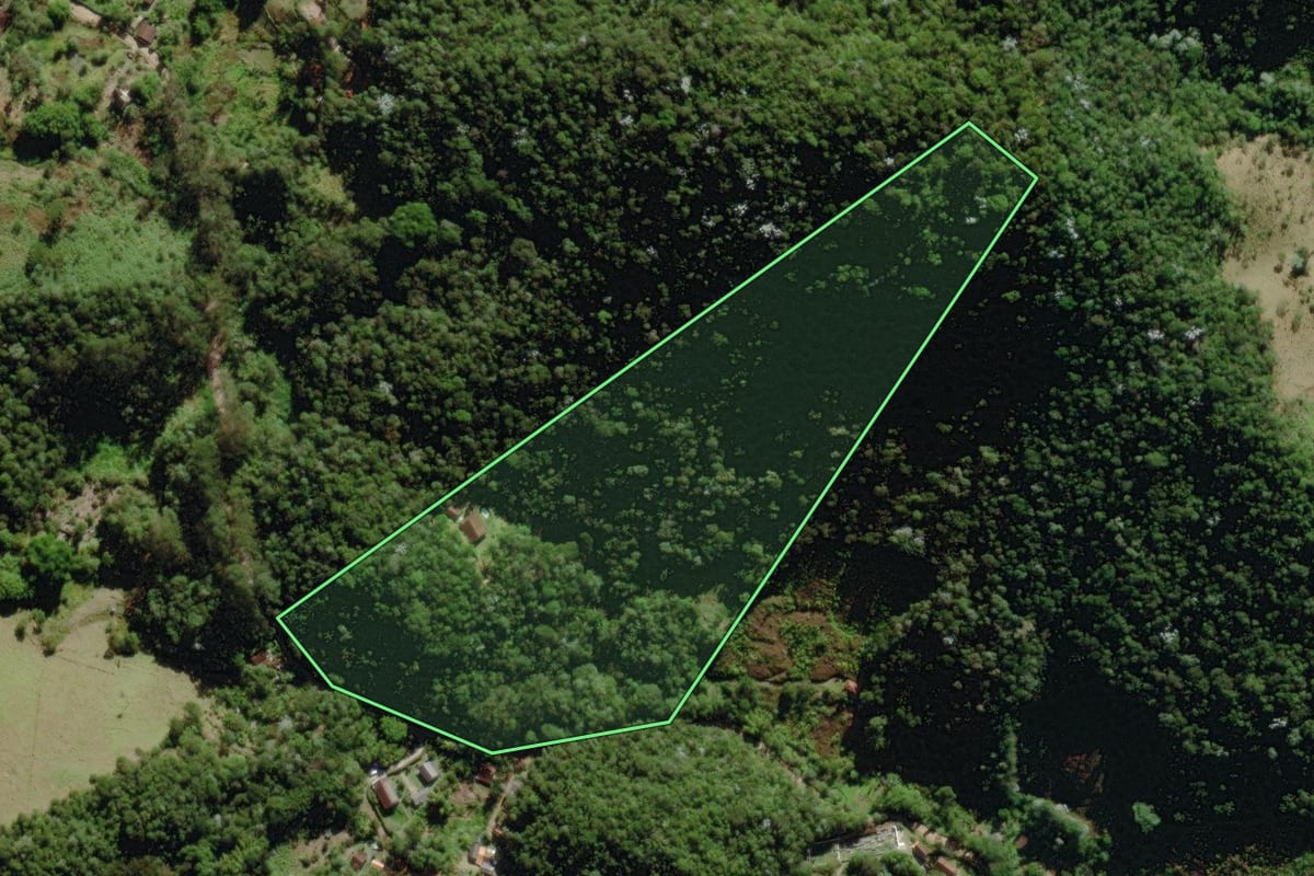Imagem de satélite do imóvel rural em Nova Friburgo (RJ), com o contorno declarado no CAR desenhado por cima.