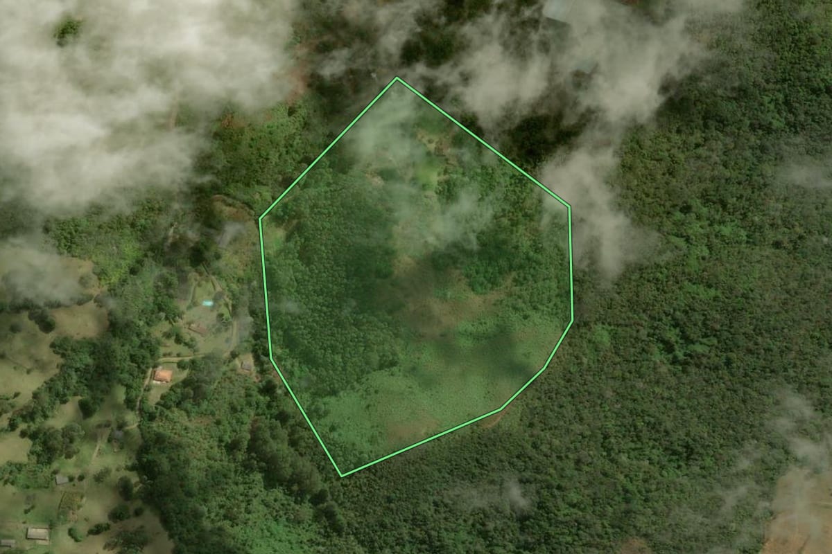 Imagem de satélite do imóvel rural em Nova Friburgo (RJ), com o contorno declarado no CAR desenhado por cima.