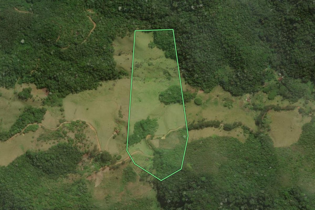 Imagem de satélite do imóvel rural em Nova Friburgo (RJ), com o contorno declarado no CAR desenhado por cima.