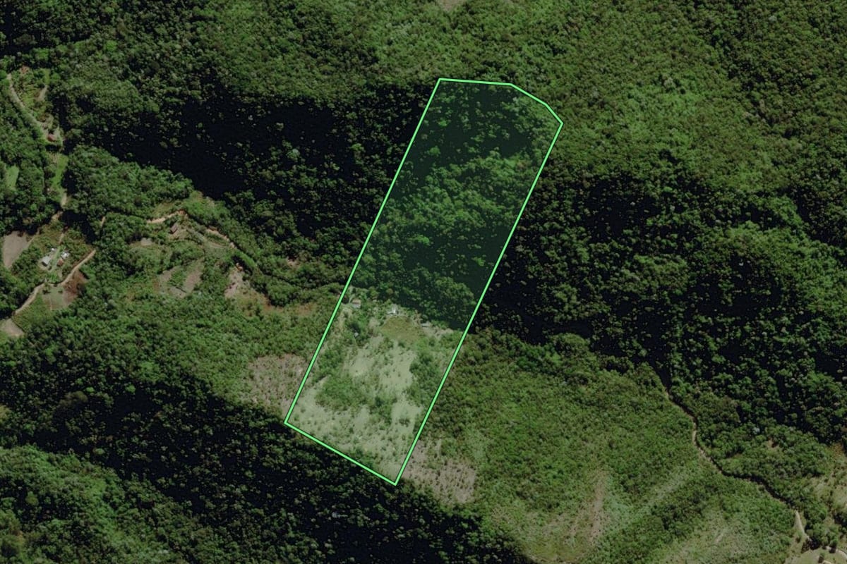 Imagem de satélite do imóvel rural em Nova Friburgo (RJ), com o contorno declarado no CAR desenhado por cima.