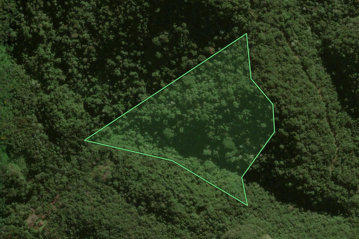 Imagem de satélite do imóvel rural em Nova Friburgo (RJ), com o contorno declarado no CAR desenhado por cima.