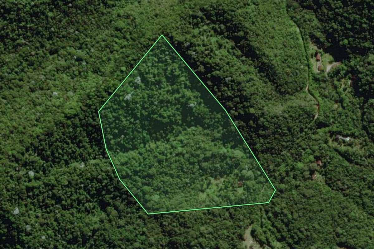Imagem de satélite do imóvel rural em Nova Friburgo (RJ), com o contorno declarado no CAR desenhado por cima.