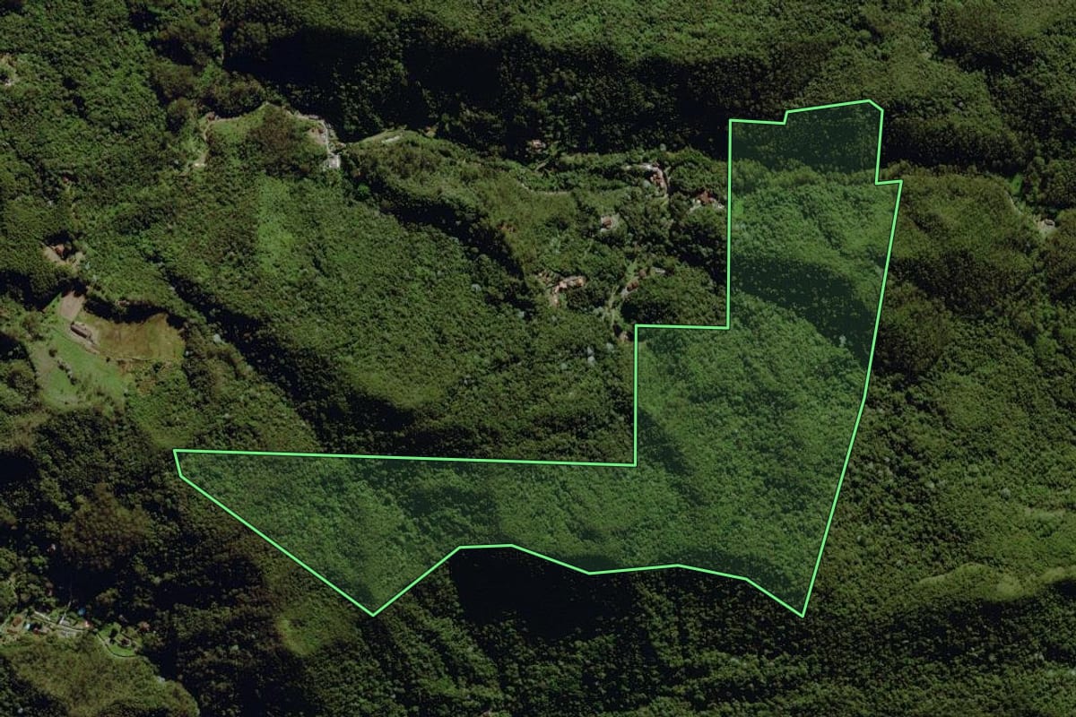 Imagem de satélite do imóvel rural em Nova Friburgo (RJ), com o contorno declarado no CAR desenhado por cima.