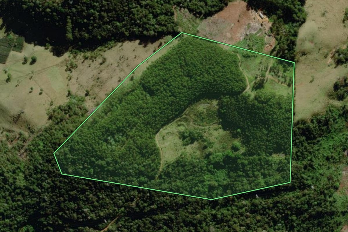 Imagem de satélite do imóvel rural em Nova Friburgo (RJ), com o contorno declarado no CAR desenhado por cima.