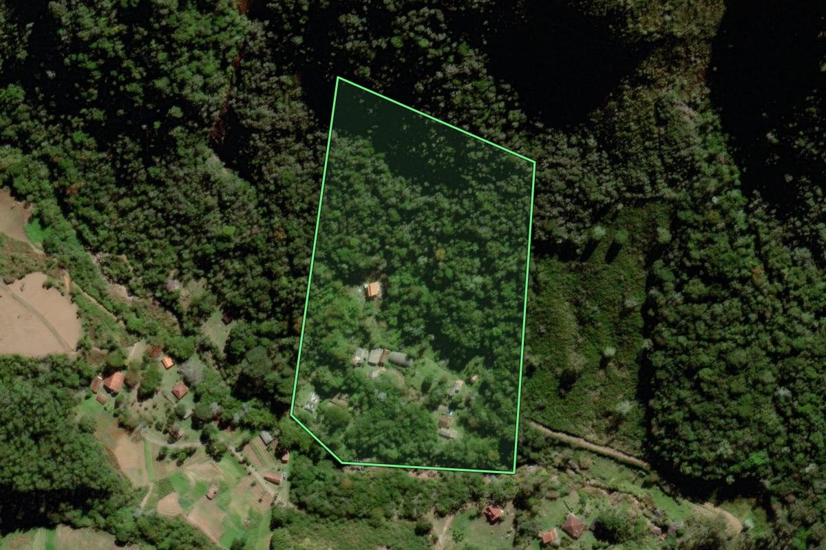 Imagem de satélite do imóvel rural em Nova Friburgo (RJ), com o contorno declarado no CAR desenhado por cima.