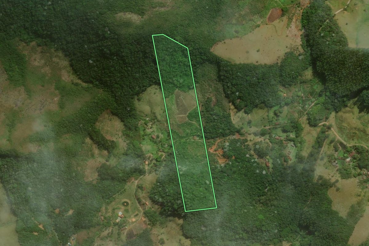 Imagem de satélite do imóvel rural em Nova Friburgo (RJ), com o contorno declarado no CAR desenhado por cima.