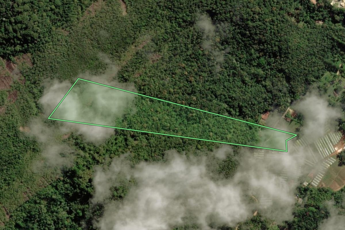 Imagem de satélite do imóvel rural em Nova Friburgo (RJ), com o contorno declarado no CAR desenhado por cima.