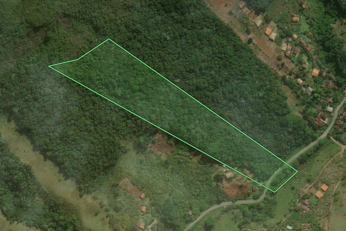 Imagem de satélite do imóvel rural em Nova Friburgo (RJ), com o contorno declarado no CAR desenhado por cima.