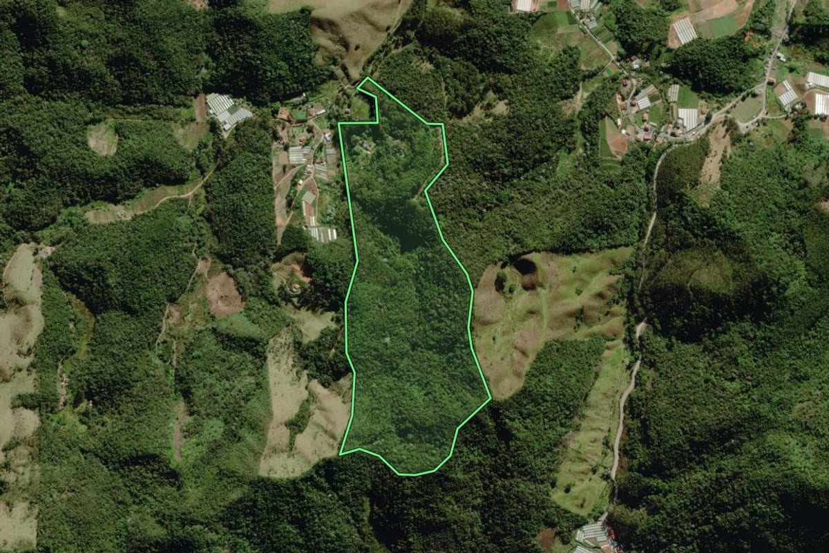 Imagem de satélite do imóvel rural em Nova Friburgo (RJ), com o contorno declarado no CAR desenhado por cima.