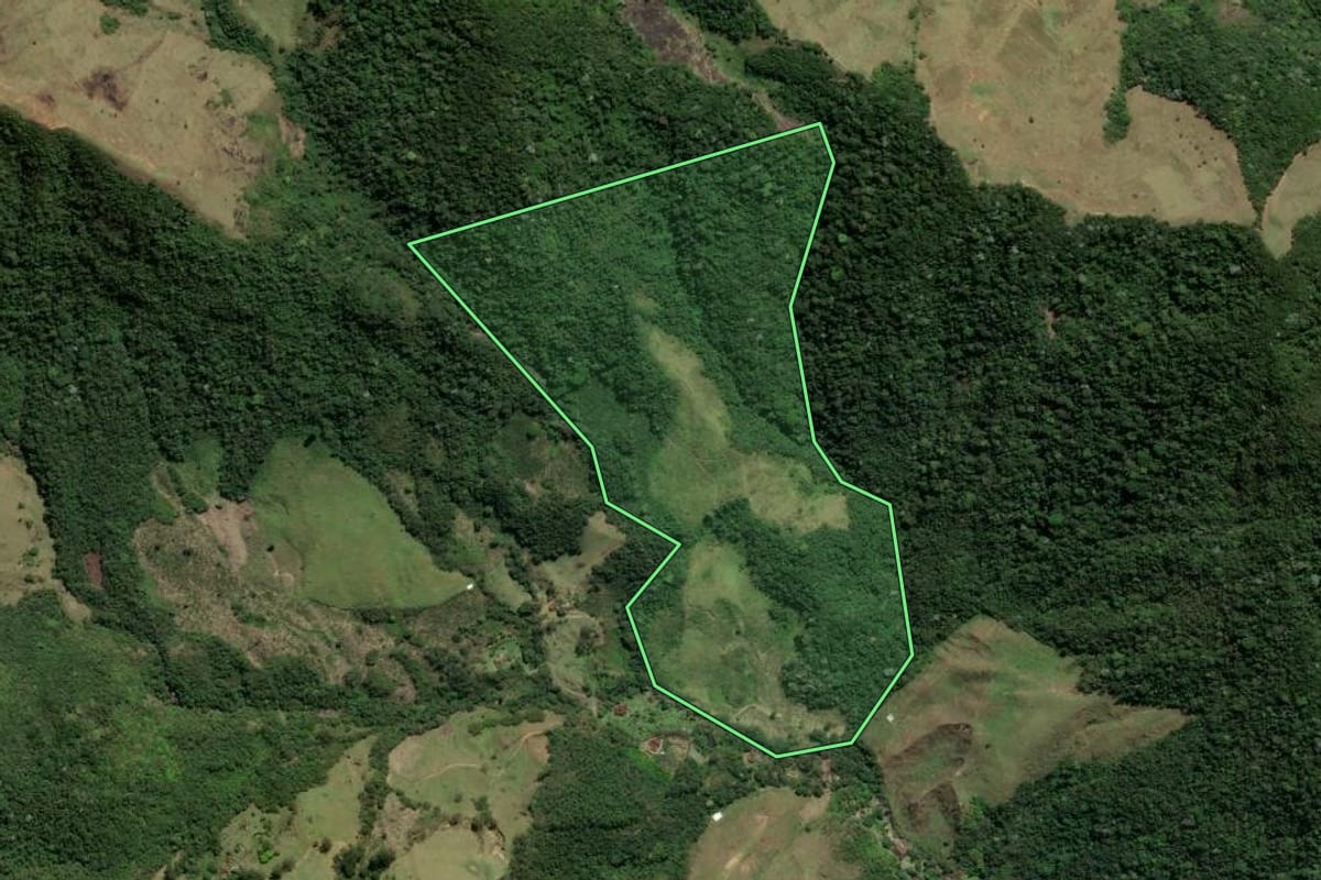Imagem de satélite do imóvel rural em Nova Friburgo (RJ), com o contorno declarado no CAR desenhado por cima.