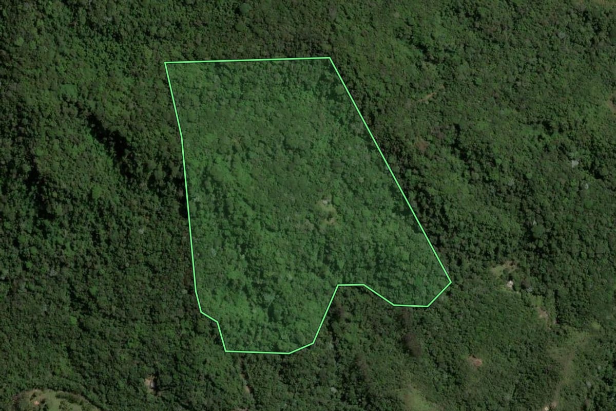 Imagem de satélite do imóvel rural em Nova Friburgo (RJ), com o contorno declarado no CAR desenhado por cima.