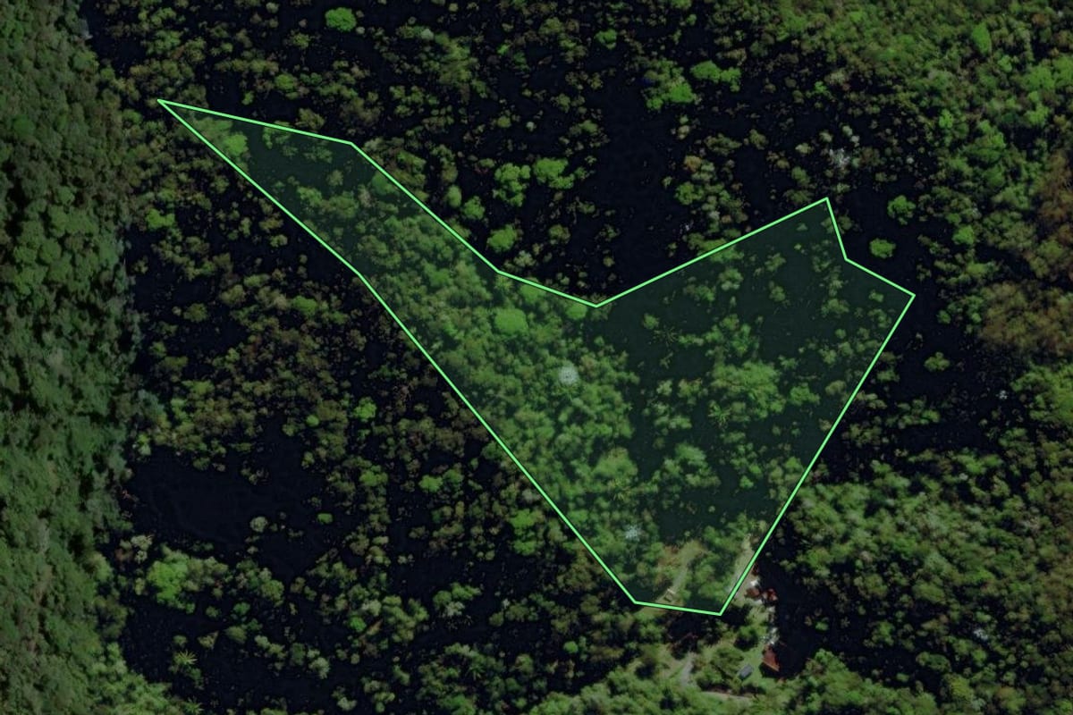 Imagem de satélite do imóvel rural em Nova Friburgo (RJ), com o contorno declarado no CAR desenhado por cima.