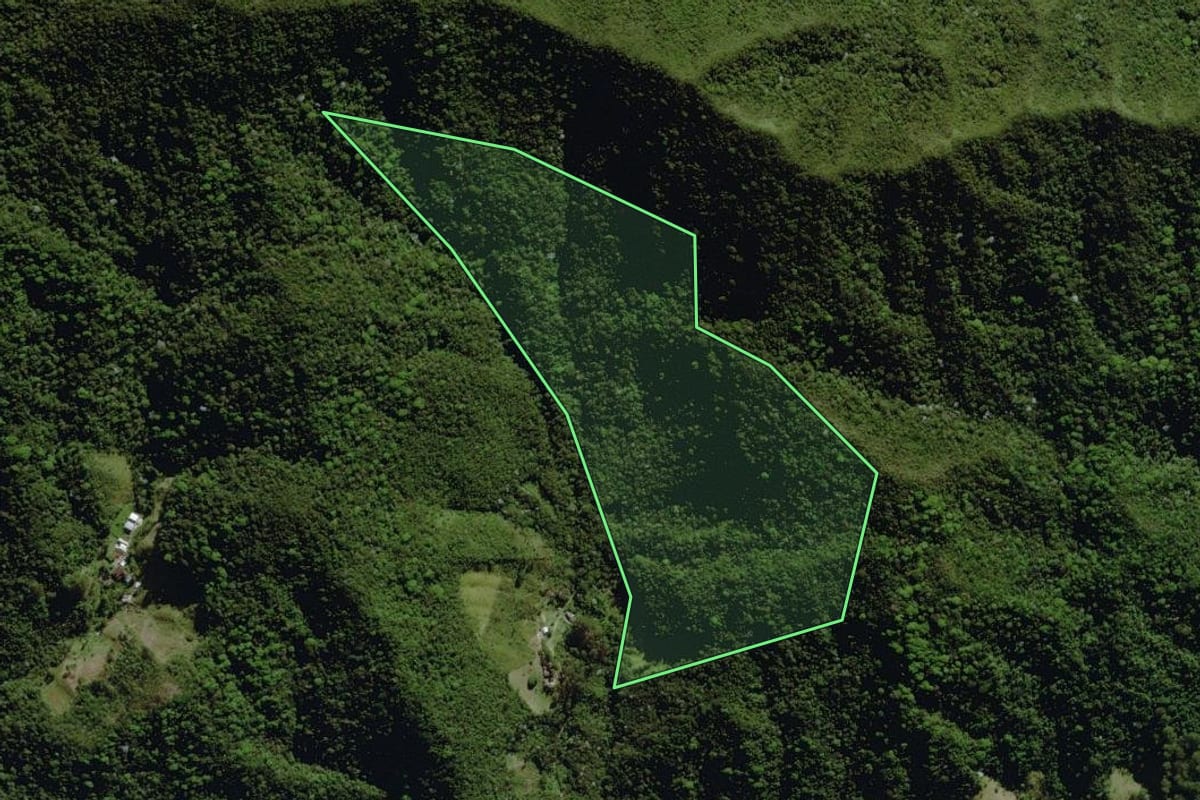 Imagem de satélite do imóvel rural em Nova Friburgo (RJ), com o contorno declarado no CAR desenhado por cima.