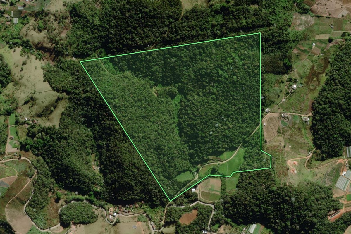 Imagem de satélite do imóvel rural em Nova Friburgo (RJ), com o contorno declarado no CAR desenhado por cima.