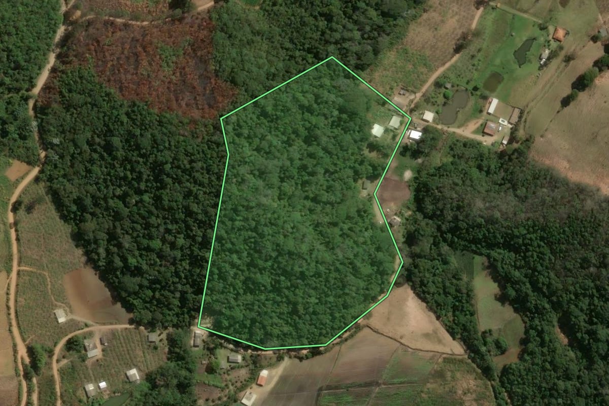 Imagem de satélite do imóvel rural em Nova Friburgo (RJ), com o contorno declarado no CAR desenhado por cima.