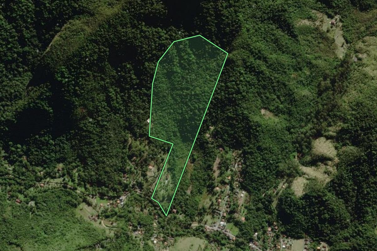 Imagem de satélite do imóvel rural em Nova Friburgo (RJ), com o contorno declarado no CAR desenhado por cima.