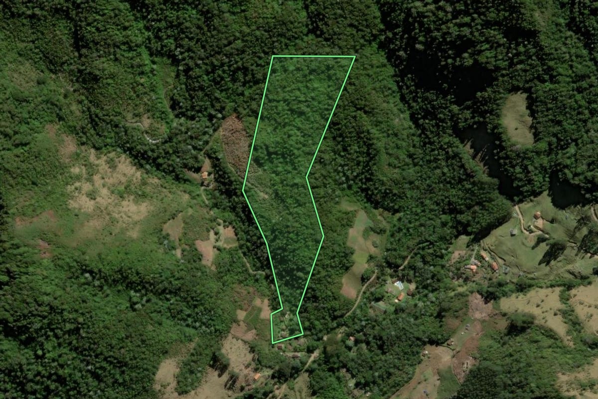 Imagem de satélite do imóvel rural em Nova Friburgo (RJ), com o contorno declarado no CAR desenhado por cima.