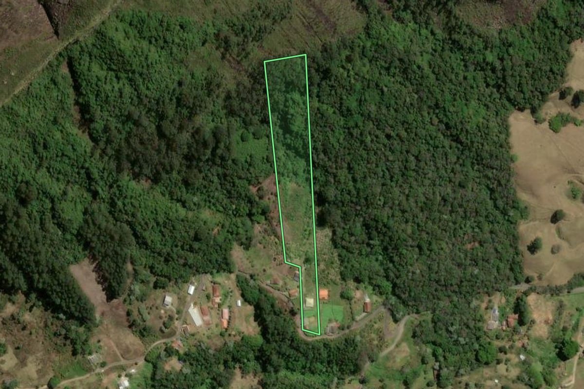 Imagem de satélite do imóvel rural em Nova Friburgo (RJ), com o contorno declarado no CAR desenhado por cima.