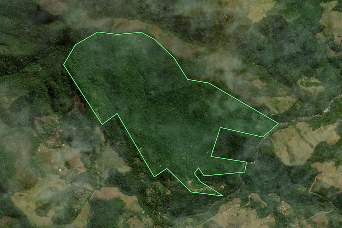 Imagem de satélite do imóvel rural em Nova Friburgo (RJ), com o contorno declarado no CAR desenhado por cima.