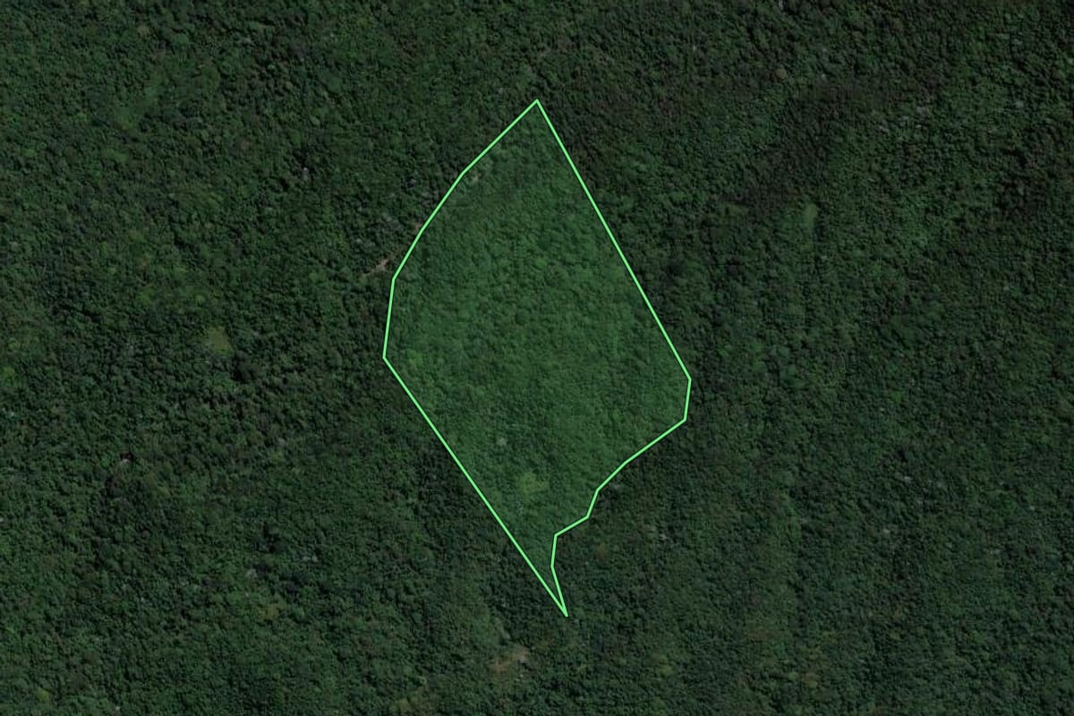 Imagem de satélite do imóvel rural em Nova Iguaçu (RJ), com o contorno declarado no CAR desenhado por cima.