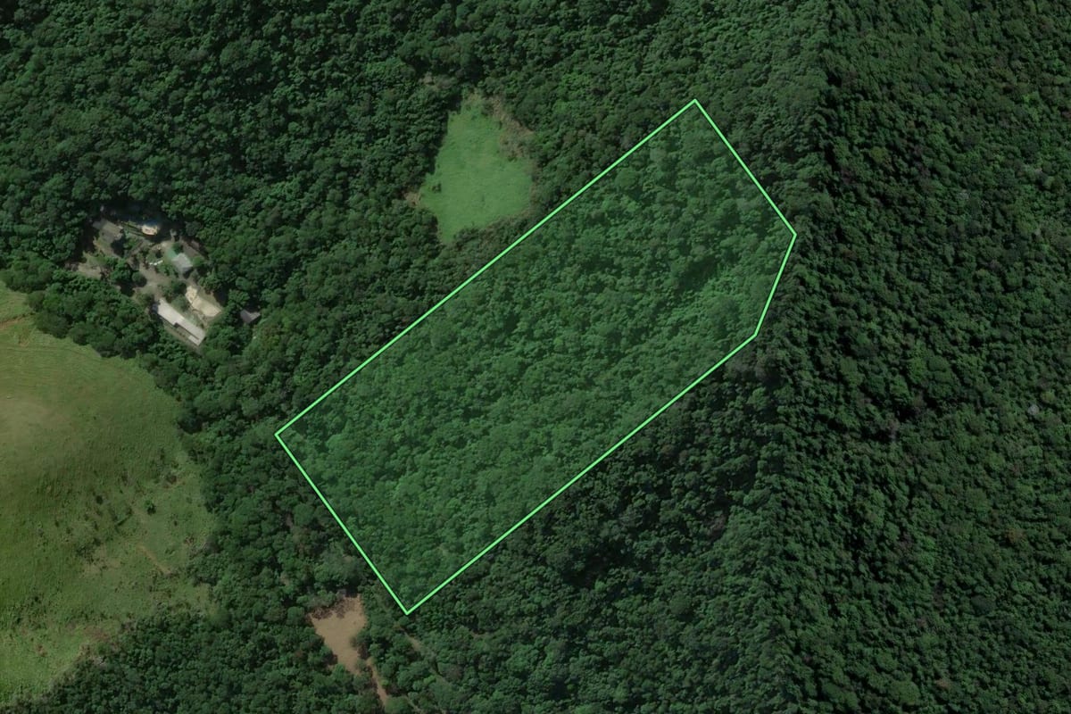Imagem de satélite do imóvel rural em Nova Iguaçu (RJ), com o contorno declarado no CAR desenhado por cima.
