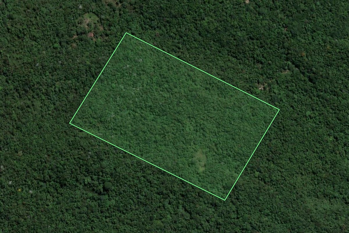 Imagem de satélite do imóvel rural em Nova Iguaçu (RJ), com o contorno declarado no CAR desenhado por cima.