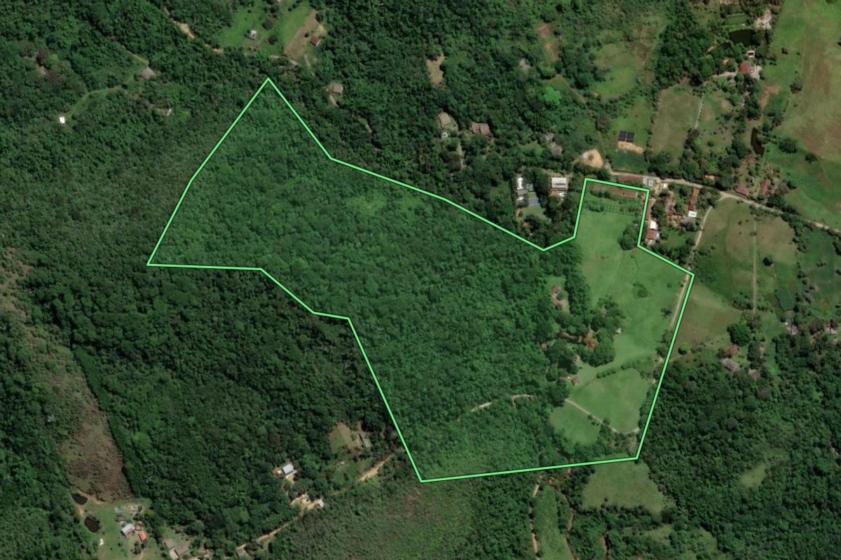 Imagem de satélite do imóvel rural em Nova Iguaçu (RJ), com o contorno declarado no CAR desenhado por cima.