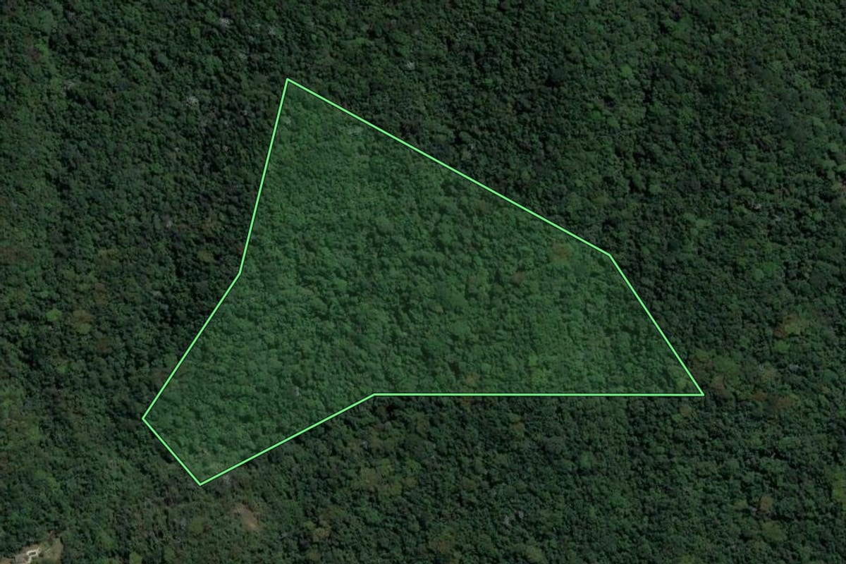Imagem de satélite do imóvel rural em Nova Iguaçu (RJ), com o contorno declarado no CAR desenhado por cima.