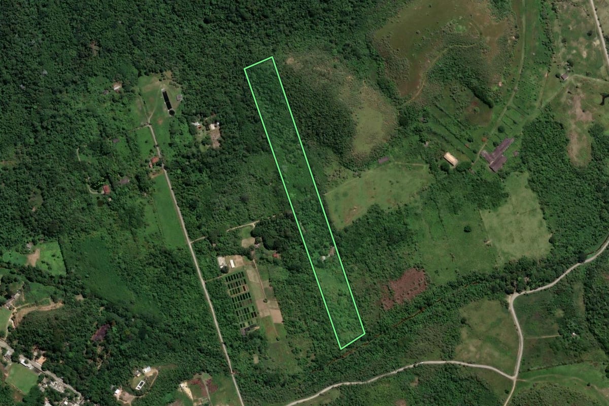 Imagem de satélite do imóvel rural em Nova Iguaçu (RJ), com o contorno declarado no CAR desenhado por cima.