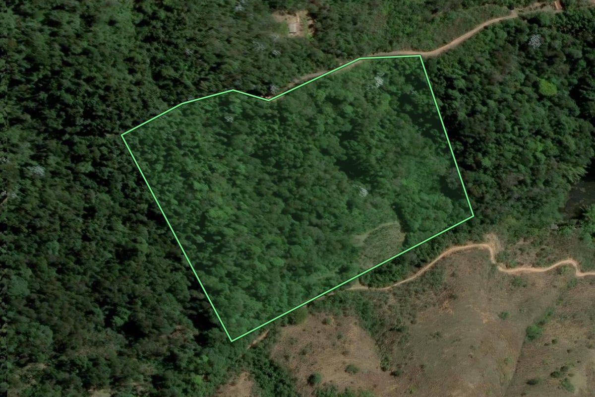 Imagem de satélite do imóvel rural em Paracambi (RJ), com o contorno declarado no CAR desenhado por cima.